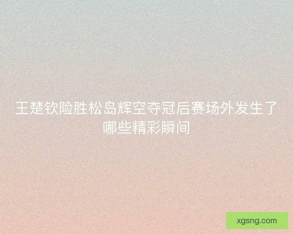 王楚钦险胜松岛辉空夺冠后赛场外发生了哪些精彩瞬间