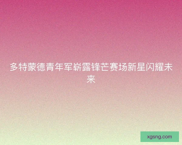 多特蒙德青年军崭露锋芒赛场新星闪耀未来