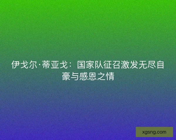 伊戈尔·蒂亚戈：国家队征召激发无尽自豪与感恩之情